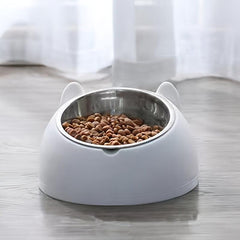 Raised Pet Feeder Stainless Steel Tilted Elevated Drinking Bowl