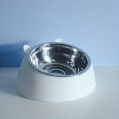 Raised Pet Feeder Stainless Steel Tilted Elevated Drinking Bowl