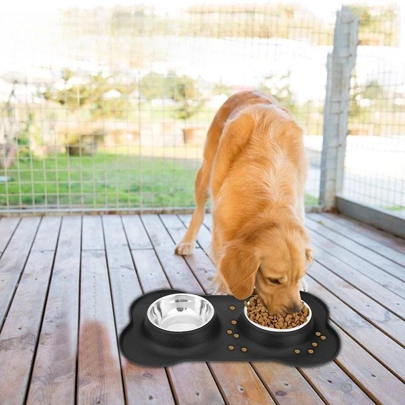 Double Stainless Steel Dog Bowls with Silicone Mat