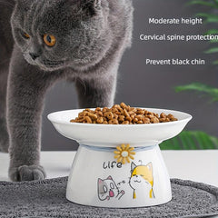 Elevated Ceramic Cat & Dog Food Bowls Set