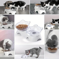 Plastic Elevated Double Pet Bowls for Indoor Cats