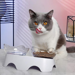 Plastic Elevated Double Pet Bowls for Indoor Cats