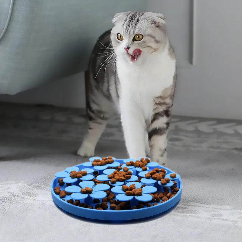 Slow Feeder Pet Bowl Anxiety Relief Non Choking for Dog and Cat