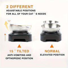 Raised Tilted Cat Double Bowls Stainless Steel Feeder with Stand