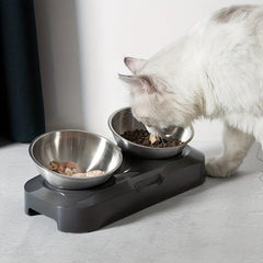 Raised Tilted Cat Double Bowls Stainless Steel Feeder with Stand