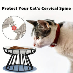 Elevated Cat Feeder Bowl Stand with Non Slip Mat Shallow Ceramic Cat Dish