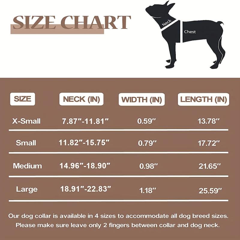 Personalized Soft Leather Dog Collar with Nameplate