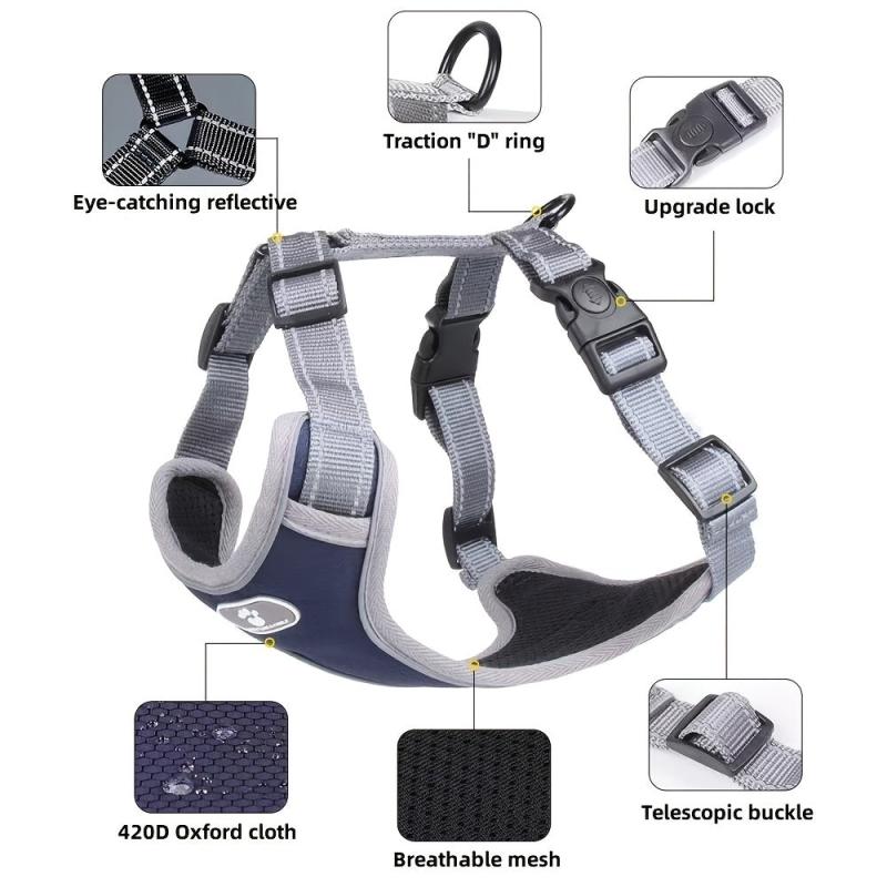 No Pull Dog Vest Harness for Small and Medium Dogs