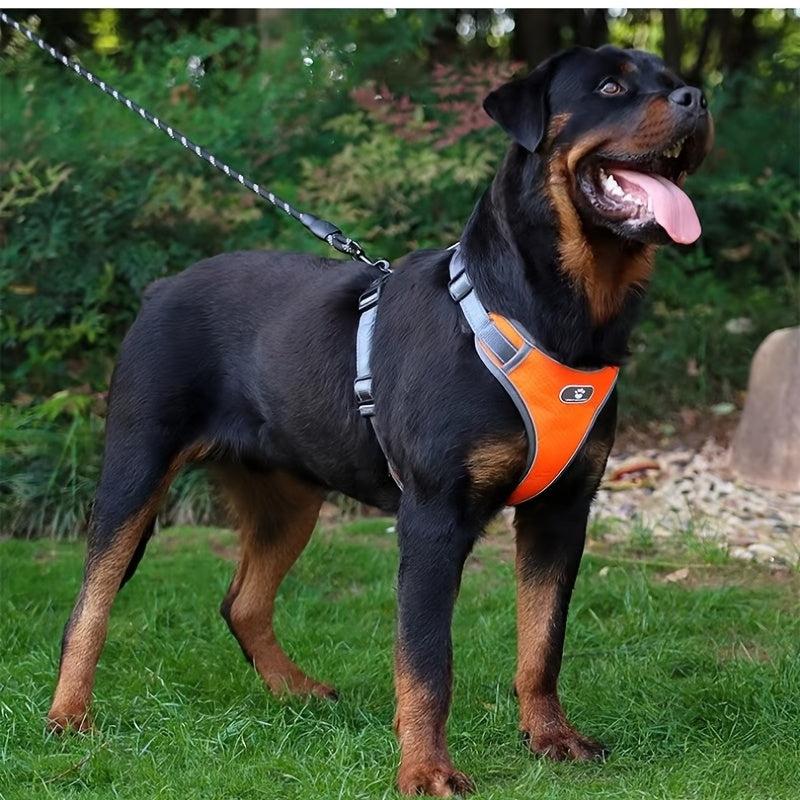 No Pull Dog Vest Harness for Small and Medium Dogs