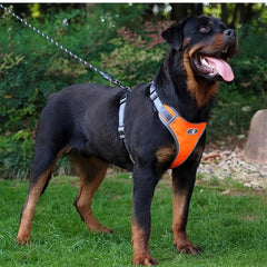 No Pull Dog Vest Harness for Small and Medium Dogs