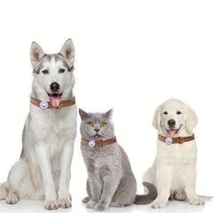 Silicone Protective Cover for Airtag Pet Tracker