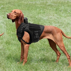Tactical Dog Vest Outdoor Training Harness for Medium and Large Dogs
