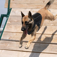 Tactical Dog Vest Outdoor Training Harness for Medium and Large Dogs