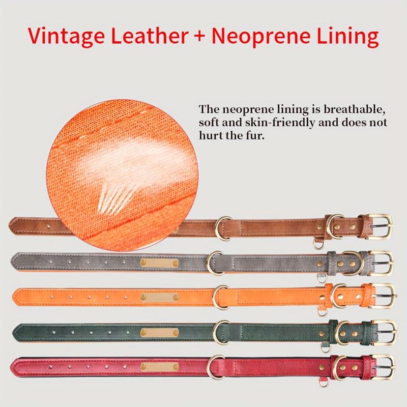 Custom Leather Dog Collar with Engraved Name Plate for Small and Medium Dogs