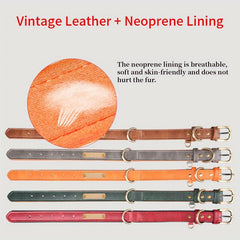 Custom Leather Dog Collar with Engraved Name Plate for Small and Medium Dogs