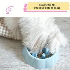 Slow Feeder Dog Bowl Anti choking Puzzle Food Bowl Anxiety Relief