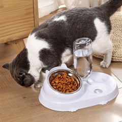 3-in-1 Pet Bowl with Automatic Water Bottle