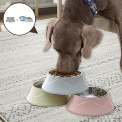 Stainless Steel Dog Feeder Bowl with Non-Slip Stand