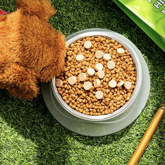 Stainless Steel Dog Feeder Bowl with Non-Slip Stand