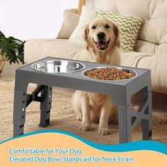 Adjustable Elevated Dog Bowls with 2 Stainless Steel Bowls