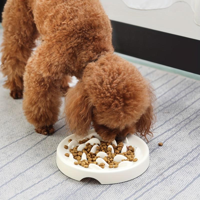 Fish Decor Slow Feeder Cat Bowl Anti-choking Cat Food Bowl