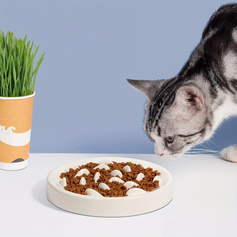 Fish Decor Slow Feeder Cat Bowl Anti-choking Cat Food Bowl