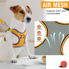 Escape Proof Dog Harness and Leash Set for Small to Medium Dogs