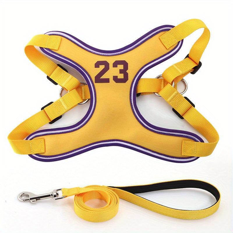 Escape Proof Dog Harness and Leash Set for Small to Medium Dogs