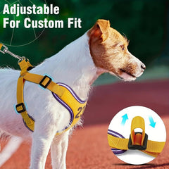 Escape Proof Dog Harness and Leash Set for Small to Medium Dogs