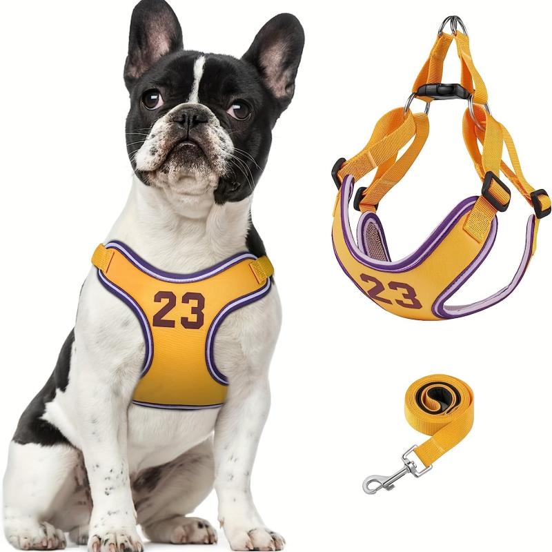 Escape Proof Dog Harness and Leash Set for Small to Medium Dogs