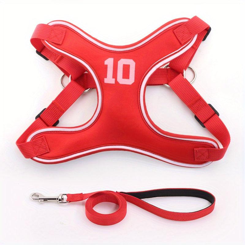Escape Proof Dog Harness and Leash Set for Small to Medium Dogs