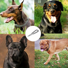 Adjustable Choke Dog Training Collar