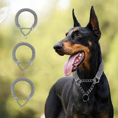 Adjustable Choke Dog Training Collar