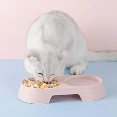 Plastic Cat Bowl with Food Spoon Elevated Pet Feeding Supplies