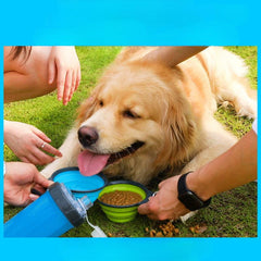 2-in-1 Dog Travel Bottle with Collapsible Bowl