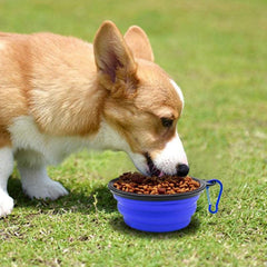 Portable Dog Folding Bowl Collapsible Silicone Feeder Bowl