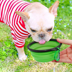 Portable Dog Folding Bowl Collapsible Silicone Feeder Bowl