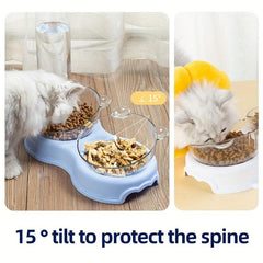Pet Double Bowls Set with Automatic Water Bottle