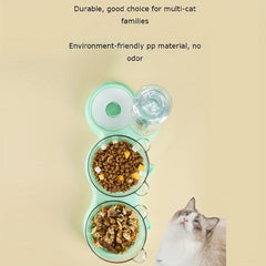 Pet Double Bowls Set with Automatic Water Bottle