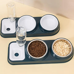 Elevated Cat Food & Water Bowl Set with Automatic Dispenser