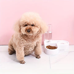 2-in-1 Cat Food/Water Feeder Bowl, Non-Slip Automatic Pet Water Dispenser