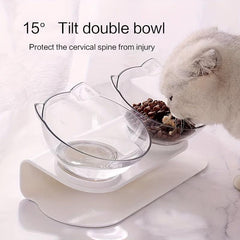 Raised Cat Feeding Bowl With Stand Elevated