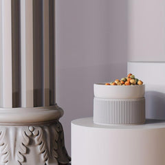 Raised Ceramic Pet Food Bowls Stand for Dogs & Cats