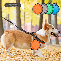 Portable Collapsible Dog Bowl for Travel, 350ml, Dogs and Cats