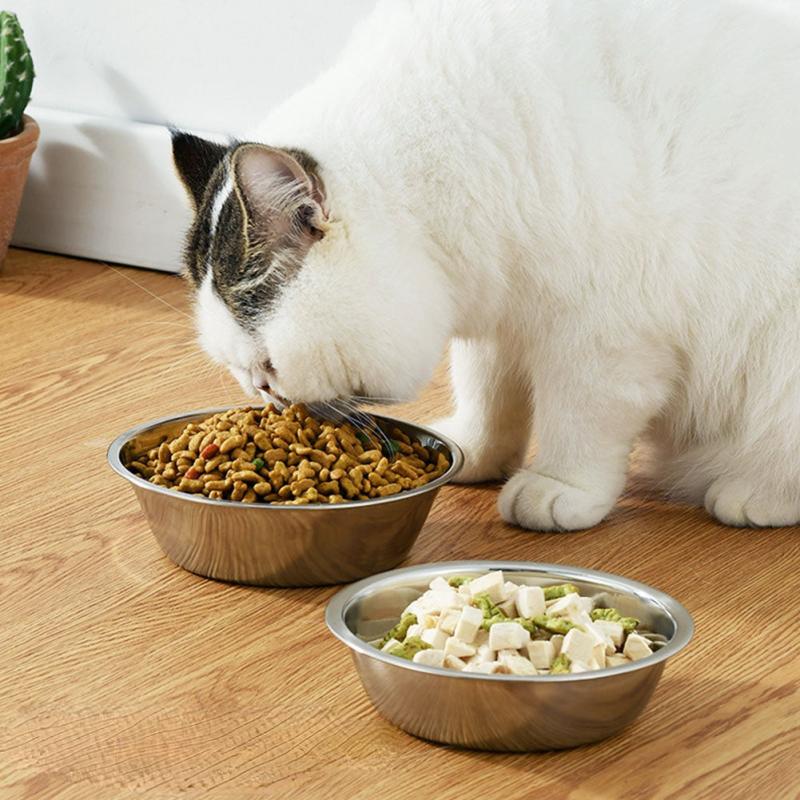 Stainless Steel Non Slip Cat Feeder Bowl