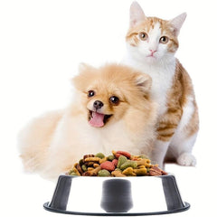 Stainless Steel Elevated Dog Bowl Non-slip Base