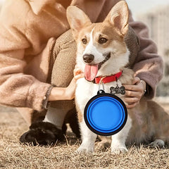 Portable Folding Dog Bowl for Outdoor Travel - Pet Water and Food Bowl