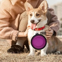 Collapsible Dog Bowl Silicone Pet Food & Water Bowl