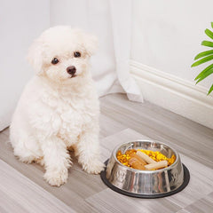 Stainless Steel Paw Print Dog Bowl Non-slip Rubber Bottom