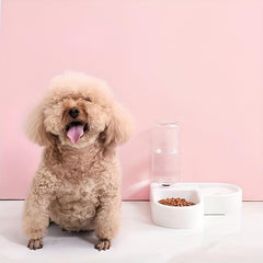 2-in-1 Pet Double Bowl with Automatic Water Bottle & Bell Ball Toy